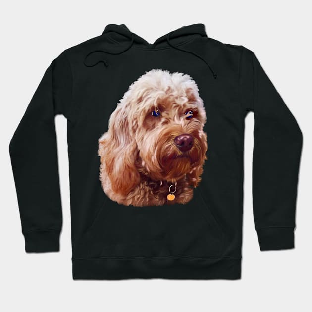 Cute Cavapoo Cavoodle puppy dog Face  - cavalier king charles spaniel poodle, puppy love Hoodie by Artonmytee